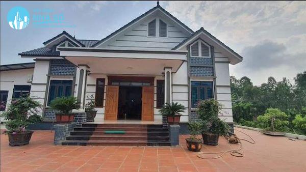 Mẫu nhà cấp 4 mái thái 4 phòng ngủ phù hợp với sân rộng